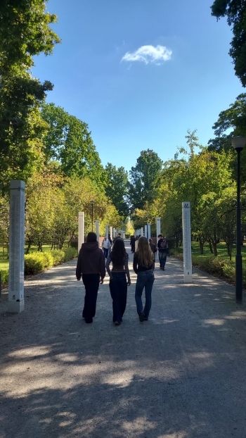 548442322_122388492116029859_841580329967898256_n