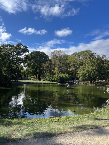 557937880_122393657534029859_4239771797888444858_n